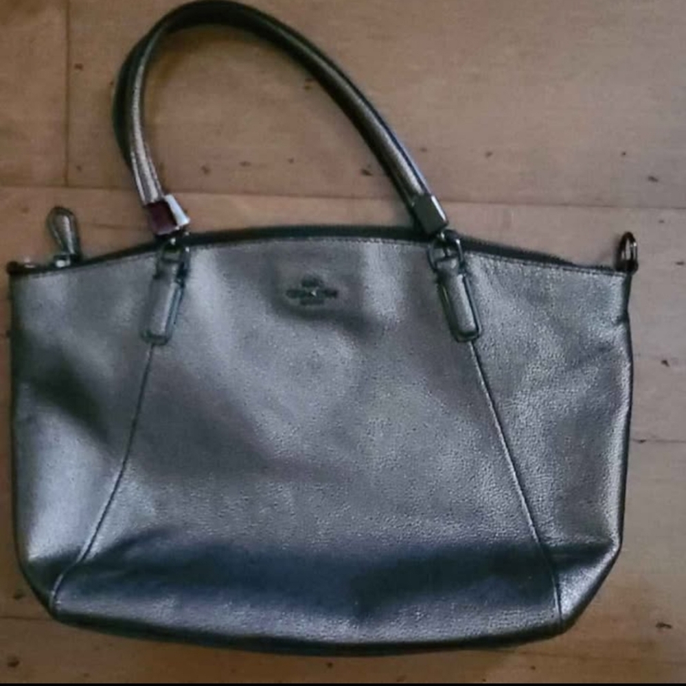 Coach Bronze Purse